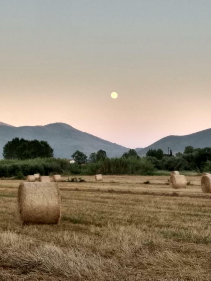 Il Giardino Delle Zagare Bed & Breakfast Fondi Bagian luar foto